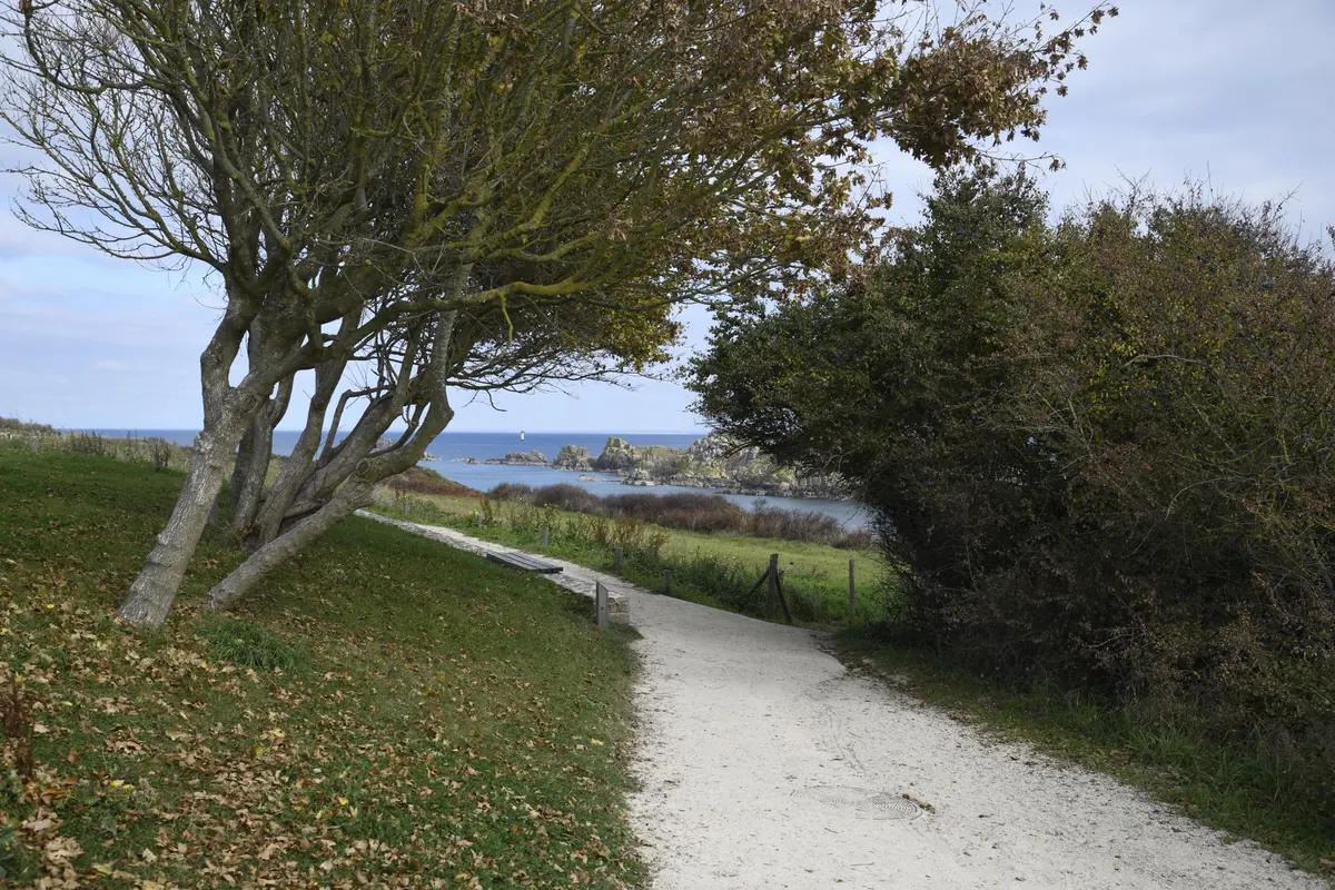 Best UK Coastal Walks for Autumn: 6 Routes with Pub Stops